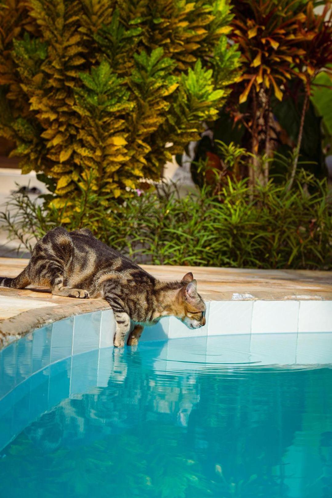 The Garden Hotel Paje Ngoại thất bức ảnh